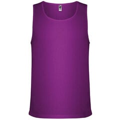 Marškinėliai vyrams, violetiniai kaina ir informacija | Vyriški marškinėliai | pigu.lt
