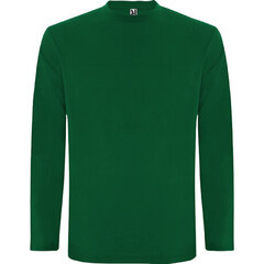 Marškinėliai vyrams ilgomis rankovėmis, žali kaina ir informacija | Megztiniai vyrams | pigu.lt