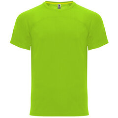 Marškinėliai vyrams, žali kaina ir informacija | Sportinė apranga vyrams | pigu.lt
