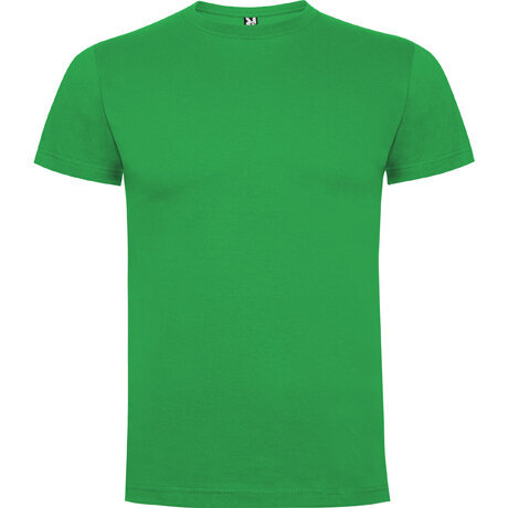 Marškinėliai berniukams Lonni, žali цена и информация | Marškinėliai berniukams | pigu.lt