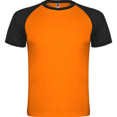 Sportiniai marškinėliai vyrams, oranžiniai kaina ir informacija | Sportinė apranga vyrams | pigu.lt