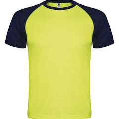 Двухцветная спортивная футболка цена и информация | Мужская спортивная одежда | pigu.lt