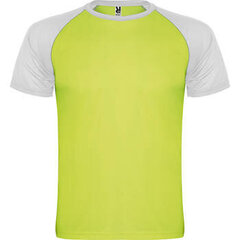 Sportiniai marškinėliai vyrams, žali kaina ir informacija | Sportinė apranga vyrams | pigu.lt