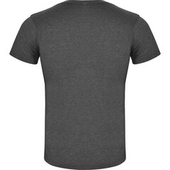 Marškinėliai vyrams, pilki kaina ir informacija | Vyriški marškinėliai | pigu.lt