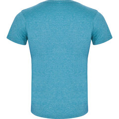 Хлопковая футболка T-GROL цена и информация | Мужские футболки | pigu.lt