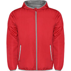 Утепленная куртка в байкерском стиле для мальчиков Gulliver, красная  цена и информация | Куртки для мальчиков | pigu.lt
