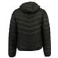 Striukė vyrams Stone Goose Damoose Men Black Hood SG 056 цена и информация | Vyriškos striukės | pigu.lt