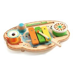 Žaislinis muzikinis instrumentas - Muzikinis karnavalas, Djeco Animambo DJ06027 kaina ir informacija | Žaislai kūdikiams | pigu.lt