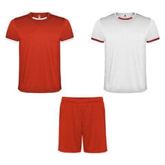 Спортивный комплект, состоящий из футболки и шорт цена и информация | Комплекты для мальчиков | pigu.lt