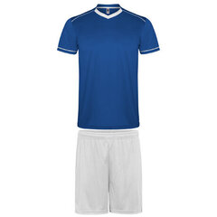 Спортивный комплект, состоящий из футболки и шорт цена и информация | Комплекты для мальчиков | pigu.lt