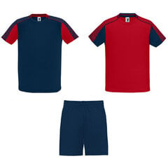 Спортивный комплект унисекс - 2 футболки и шорты цена и информация | Мужская спортивная одежда | pigu.lt