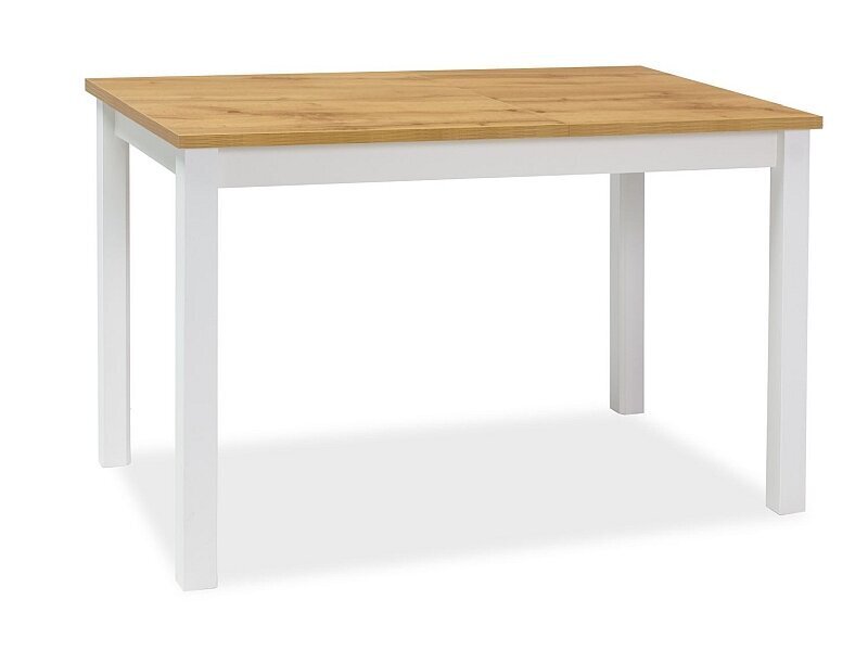 Stalas Signal Meble Adam, 100x60 cm, rudas/baltas kaina ir informacija | Virtuvės ir valgomojo stalai, staliukai | pigu.lt