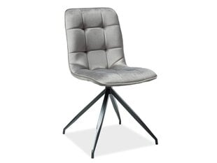 2-jų kėdžių komplektas Signal Meble Texo, pilkas kaina ir informacija | Virtuvės ir valgomojo kėdės | pigu.lt