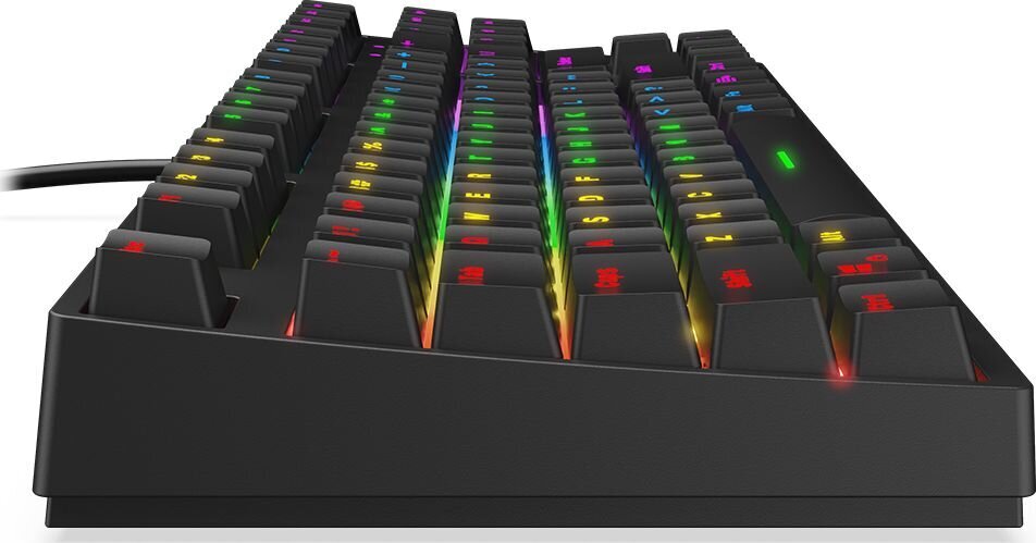 Krux Atax RGB Outemu Red kaina ir informacija | Klaviatūros | pigu.lt