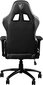 Žaidimų kėdė Msi Mag CH120 I, juoda kaina ir informacija | Biuro kėdės | pigu.lt