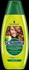 Šampūnas Schauma normaliems plaukams (Clean & Fresh Shampoo) 400 ml kaina ir informacija | Šampūnai | pigu.lt