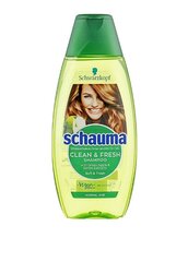 Šampūnas Schauma normaliems plaukams (Clean & Fresh Shampoo) 400 ml цена и информация | Шампуни | pigu.lt