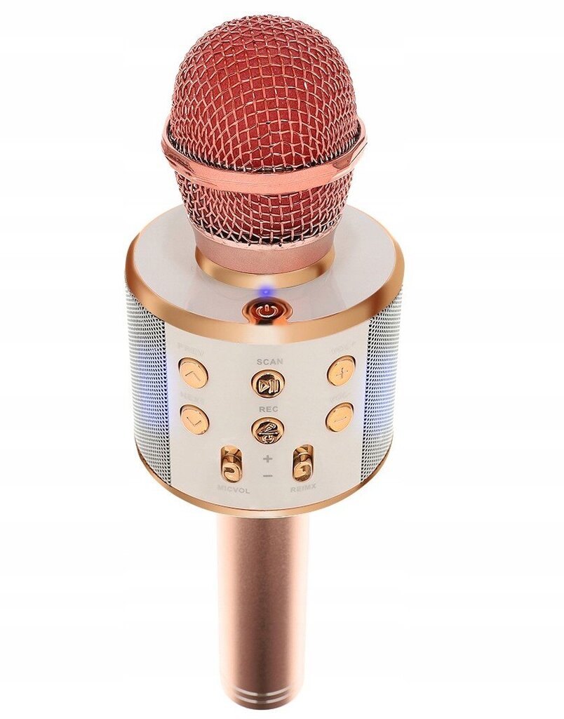 Wireless Karaoke Microphone Bluetooth Speaker 4 kaina ir informacija | Mikrofonai | pigu.lt