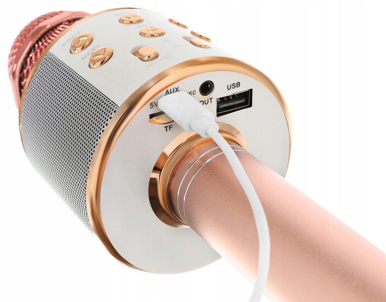 Wireless Karaoke Microphone Bluetooth Speaker 4 kaina ir informacija | Mikrofonai | pigu.lt