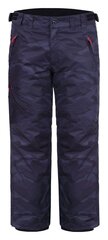 Icepeak мужские зимние брюки 80 гр JOHNNY 57090-2 57090-2*280, серые цена и информация | Мужская лыжная одежда | pigu.lt