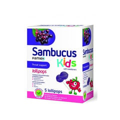 Maisto papildas Sambucus Kids ledinukai N5 цена и информация | Витамины, пищевые добавки, препараты для хорошего самочувствия | pigu.lt