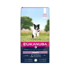 Eukanuba Lamb & Rice sausas pašaras su Ėriena ir Ryžiais mažų ir vidutinių veislių šuniukams 12kg цена и информация | Сухой корм для собак | pigu.lt