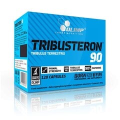Maisto papildas Olimp Tribusteron 90, 120 kapsulių kaina ir informacija | Testosterono skatintojai | pigu.lt