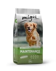 Migos Maintenance Plus kasdienis maistas šunims 20kg kaina ir informacija | Sausas maistas šunims | pigu.lt