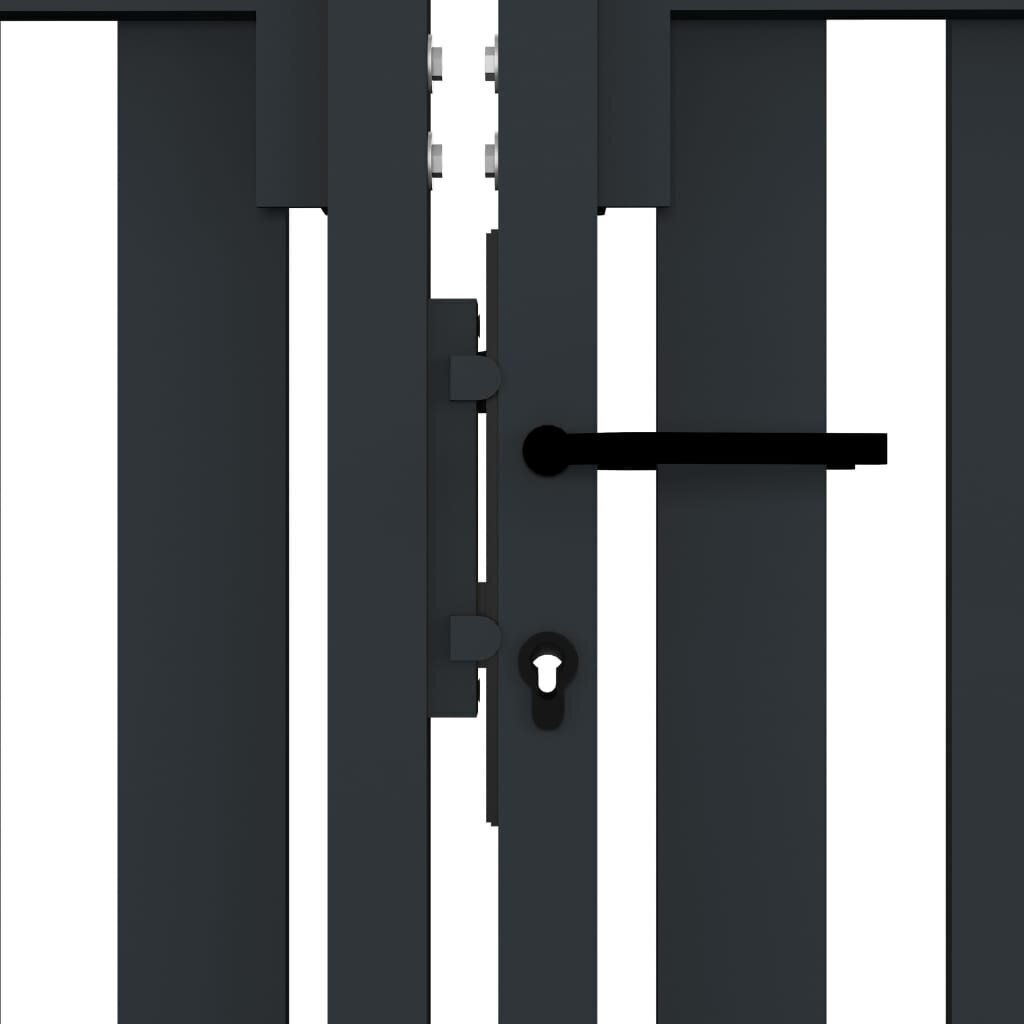 vidaXL Dvigubi vartai 306x200 cm цена и информация | Tvoros ir jų priedai | pigu.lt