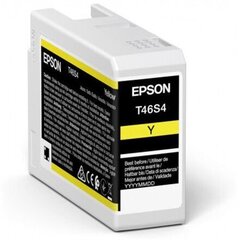 Epson UltraChrome Pro 10 ink T46S4 Ink c цена и информация | Картриджи для струйных принтеров | pigu.lt