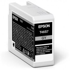 EPSON Singlepack Gray T46S7 UltraChrome Pro 10 ink 26ml (C13T46S700), pilka kaina ir informacija | Kasetės rašaliniams spausdintuvams | pigu.lt