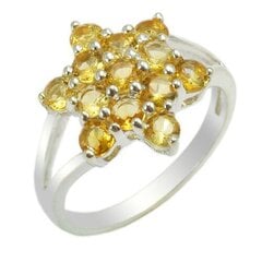 Sidabrinis žiedas moterims Ametrin ah50913 kaina ir informacija | Žiedai | pigu.lt