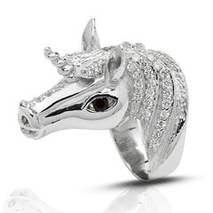 Красивое серебряное (925) кольцо, код f50102 цена и информация | Кольца | pigu.lt