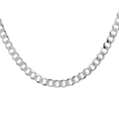 Цепочка из серебра 925 пробы с классическим дизайном, код ah8cur46l55 цена и информация | Женское колье | pigu.lt