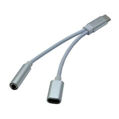 USB tipo C audio adapteris kaina ir informacija | Laidai telefonams | pigu.lt