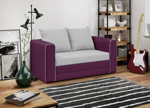 Sofa Bellezza Beta, violetinė/pilka kaina ir informacija | Sofos | pigu.lt