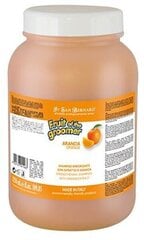 Iv San Bernand šampūnas su apelsinais ir silikonu, 500 ml kaina ir informacija | Kosmetinės priemonės gyvūnams | pigu.lt