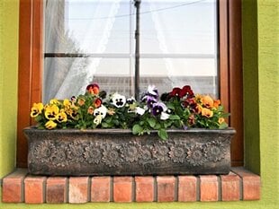 Gėlių vazonas Planika 21 cm kaina ir informacija | Vazonai | pigu.lt