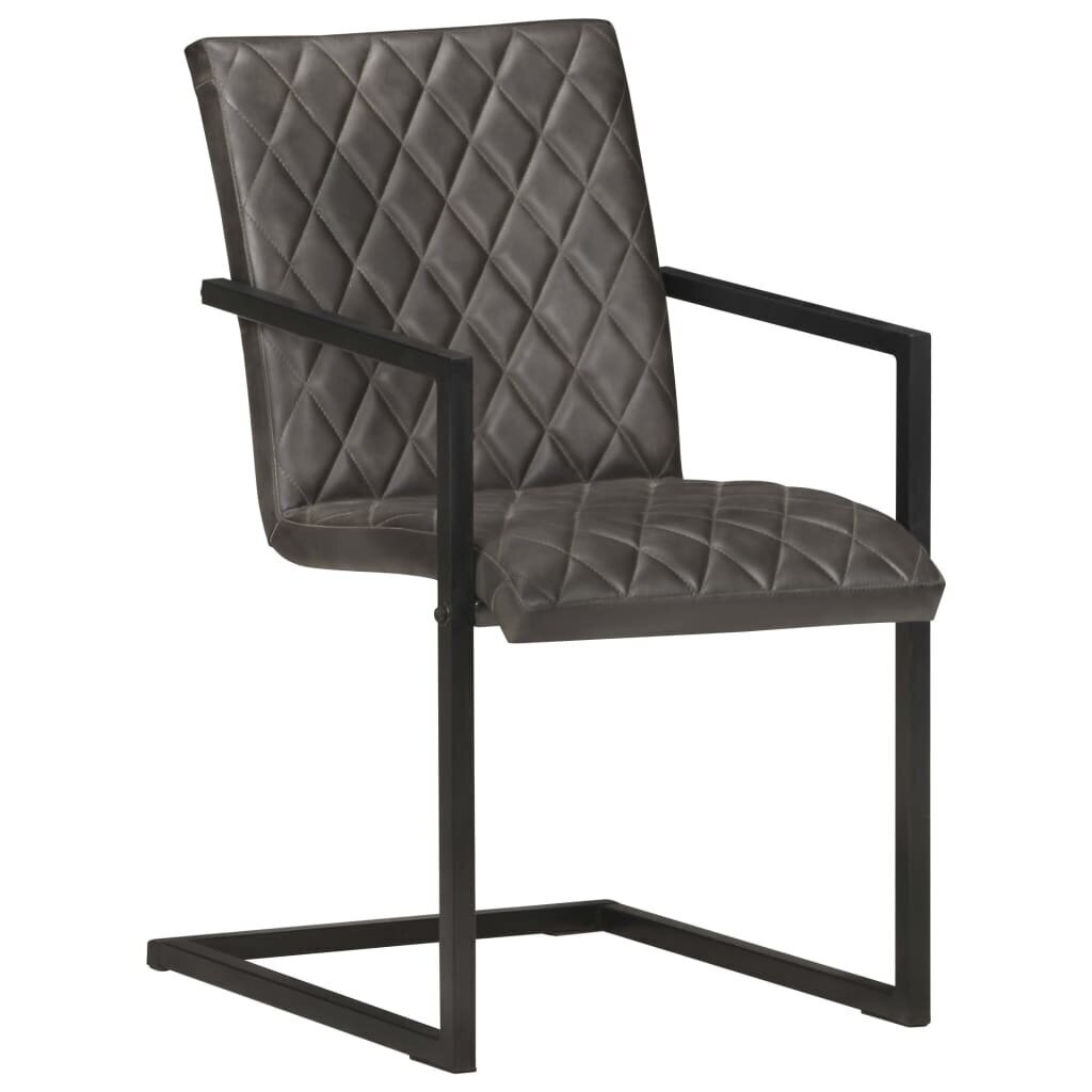 Gembinės valgomojo kėdės, 4vnt., pilkos spalvos kaina ir informacija | Virtuvės ir valgomojo kėdės | pigu.lt