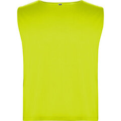 Sportiniai marškinėliai vyrams, geltoni kaina ir informacija | Sportinė apranga vyrams | pigu.lt