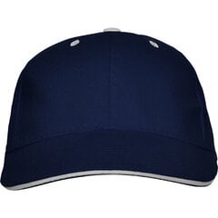 Kepurė, mėlyna kaina ir informacija | Kepurės, pirštinės, šalikai berniukams | pigu.lt