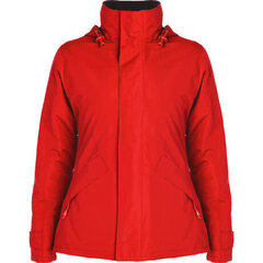 Пуховик мужской Threadbare Garnock, вишнёвый цена и информация | Женские куртки | pigu.lt