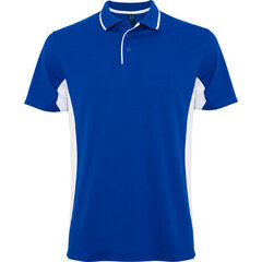 Marškinėliai vyrams, mėlyni kaina ir informacija | Sportinė apranga vyrams | pigu.lt