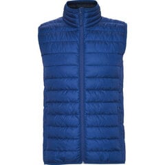 Icepeak мужская софтшелл куртка LUKAS 57974-3 57974-3*390, тёмно-синяя цена и информация | Мужские жилетки | pigu.lt