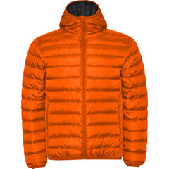Куртка мужская с капюшоном, оранжевая цена и информация | Мужские куртки | pigu.lt