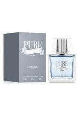 Tualetinis vanduo Pure Dreamer EDT vyrams, 100 ml цена и информация | Мужские духи | pigu.lt