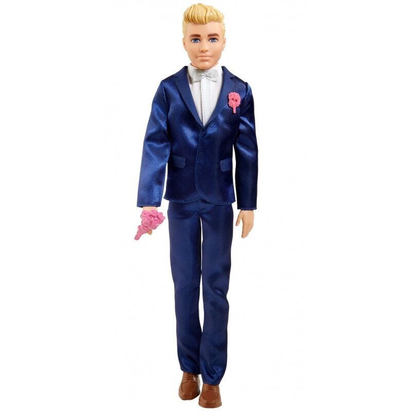 Lėlė kenas jaunikis Barbie kaina ir informacija | Žaislai mergaitėms | pigu.lt