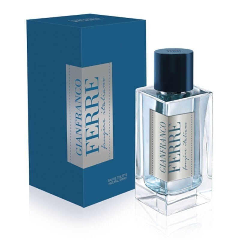 Tualetinis vanduo Gianfranco Ferre Fougere Italiano EDT vyrams 100 ml цена и информация | Kvepalai vyrams | pigu.lt