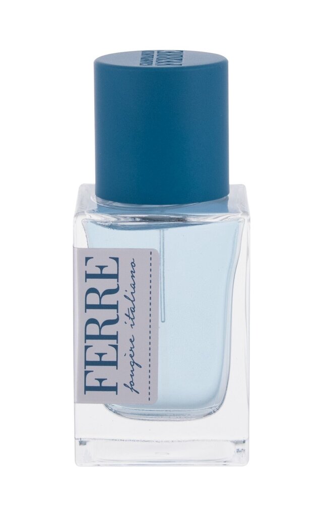 Tualetinis vanduo Gianfranco Ferre Fougere Italiano EDT vyrams 30 ml цена и информация | Kvepalai vyrams | pigu.lt