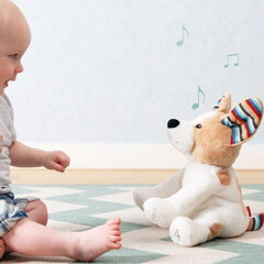 Dainuojantis minkštas žaislas Zazu Danny Dog kaina ir informacija | Žaislai kūdikiams | pigu.lt